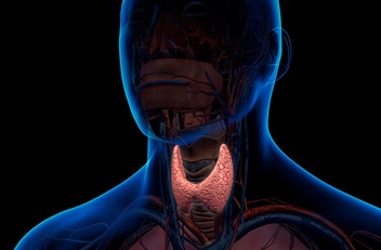 Thyroid Person Drawing Neon